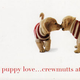 Image for article titled J. Crew's "Very Merry Gift Guide"